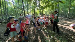 Ferienspaß der Gemeinde Dittelbrunn Den eigenen Klettergarten geschaffen