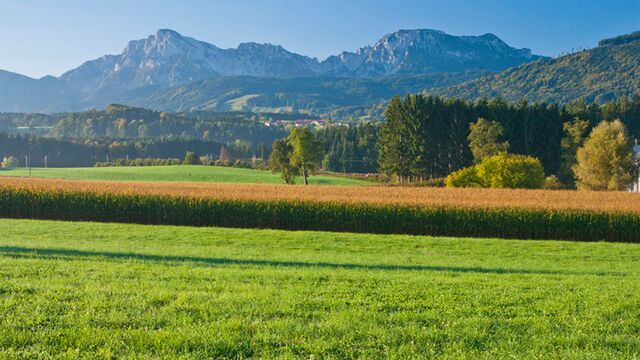 Bayerische Landschaft Bayerische Landschaft