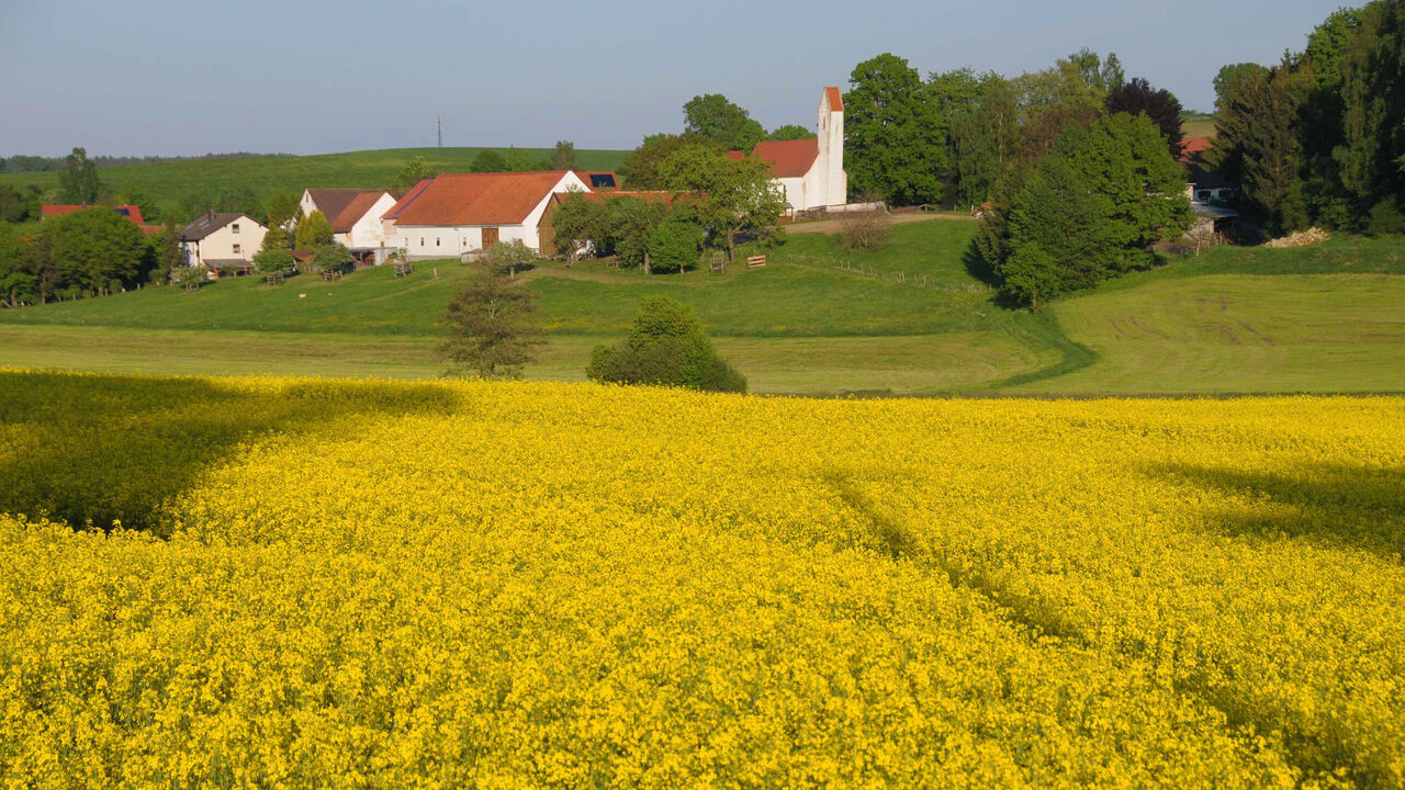 Singenbach