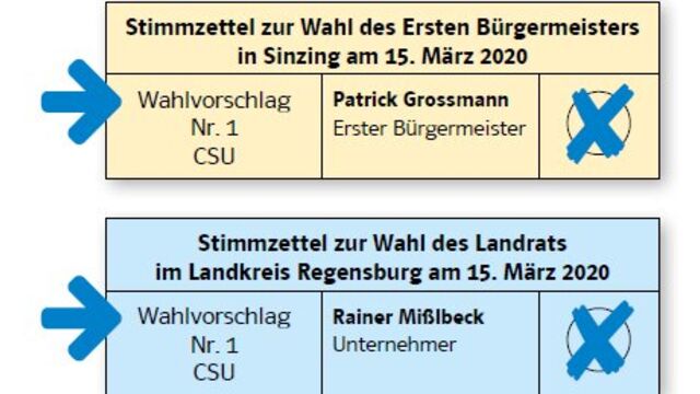 Sinzing aktuell - Februar 2020 Wahl