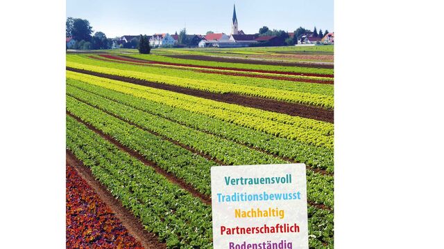 Salatfeld in Oberding