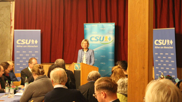 Am Mikrofon: Prof. Dr. Angelika Niebler MdEP