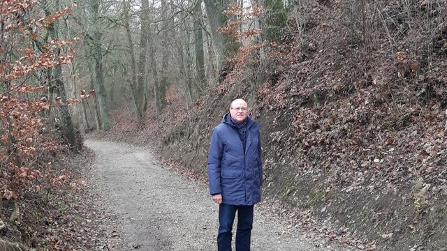Hohlweg am Birkenberg