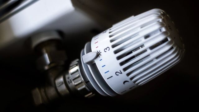 Foto: Istock