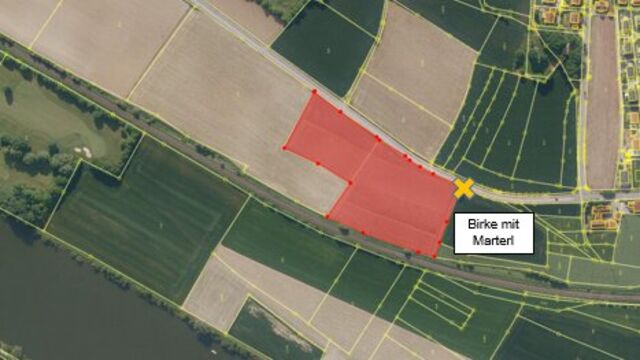 Gemeinde Sinzing Freiflächen-Fotovoltaikanlage in Sinzing