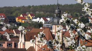 Frühling in Höchberg