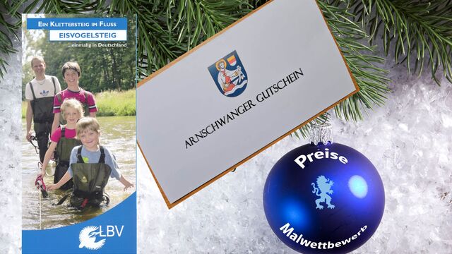 Preise Malwettbeweb
