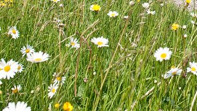 Landschaft Radeln in Bayern